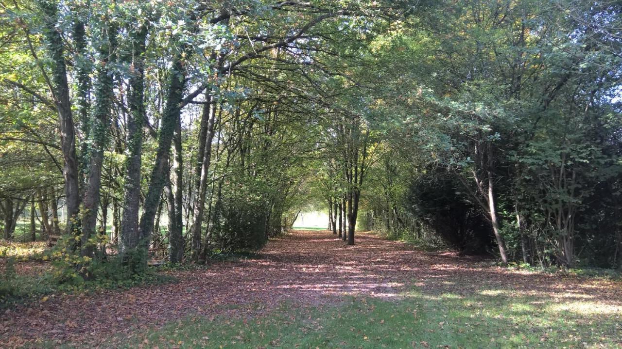 Gite Des Etangs De Beaulieu Le Plessis-Dorin Exterior photo